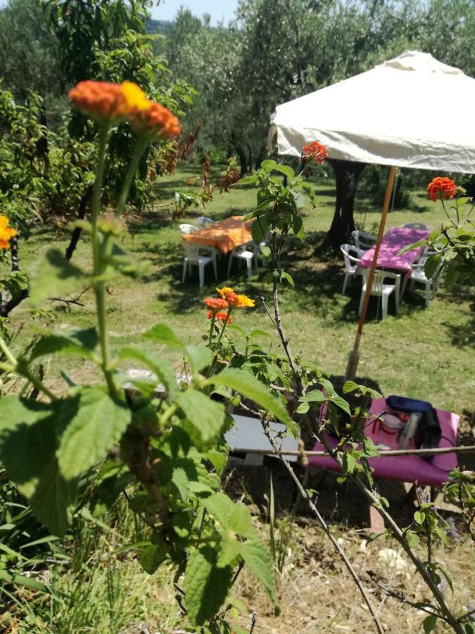 Vacanze In Collina, Tra Mare E Monti Bucchianico Zewnętrze zdjęcie