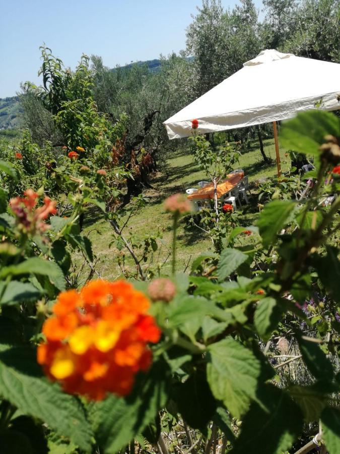 Vacanze In Collina, Tra Mare E Monti Bucchianico Zewnętrze zdjęcie